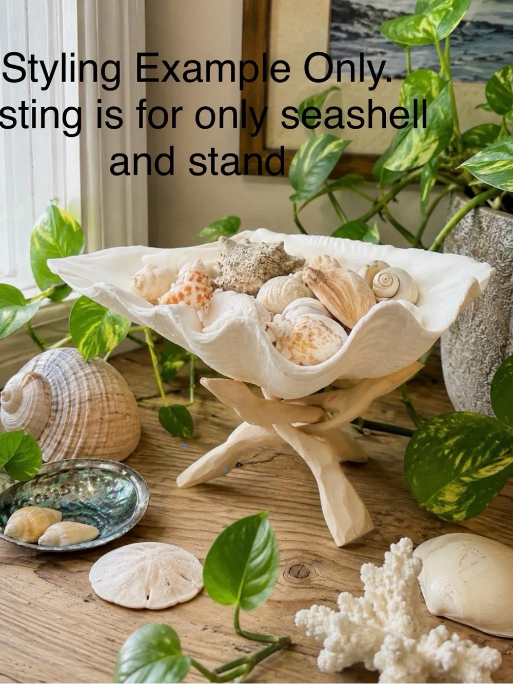 Coastal Cottage beautiful large